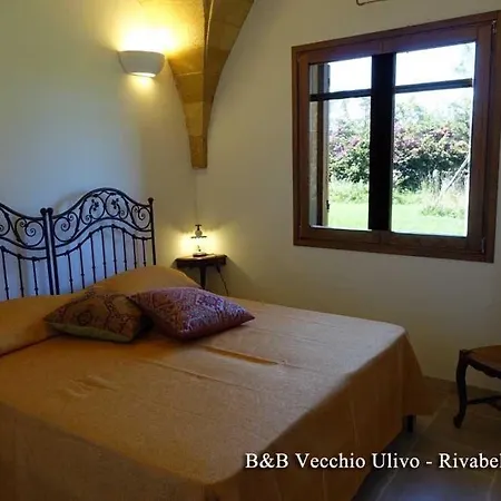 Il Vecchio Ulivo Couette-café *